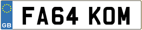 Trailer License Plate